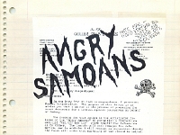 ANGRY SAMOANS Metal Mike Scrapbook 1981 – P.J. Galligan on Lead Guitar_Page_7.png